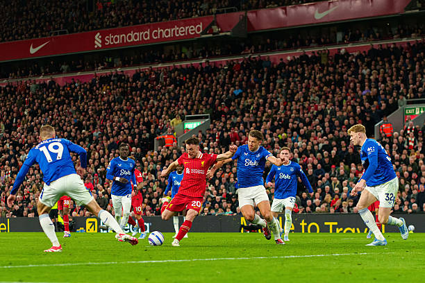 回家看看 回家看看