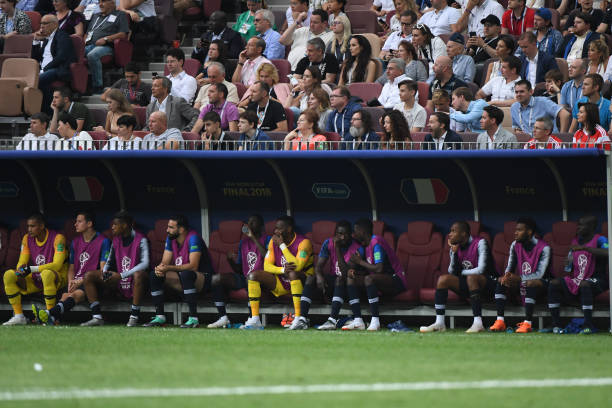 观赏传统的 观赏传统的